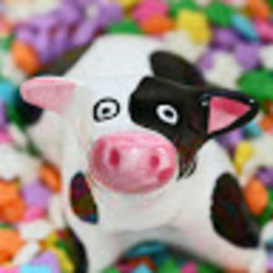 Meet your Posher, Maya